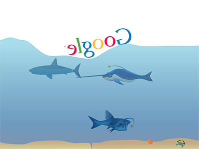 Recherche Google Underwater
