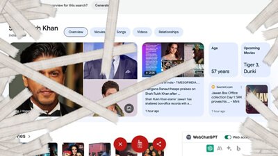 Google Jawan Easter Egg